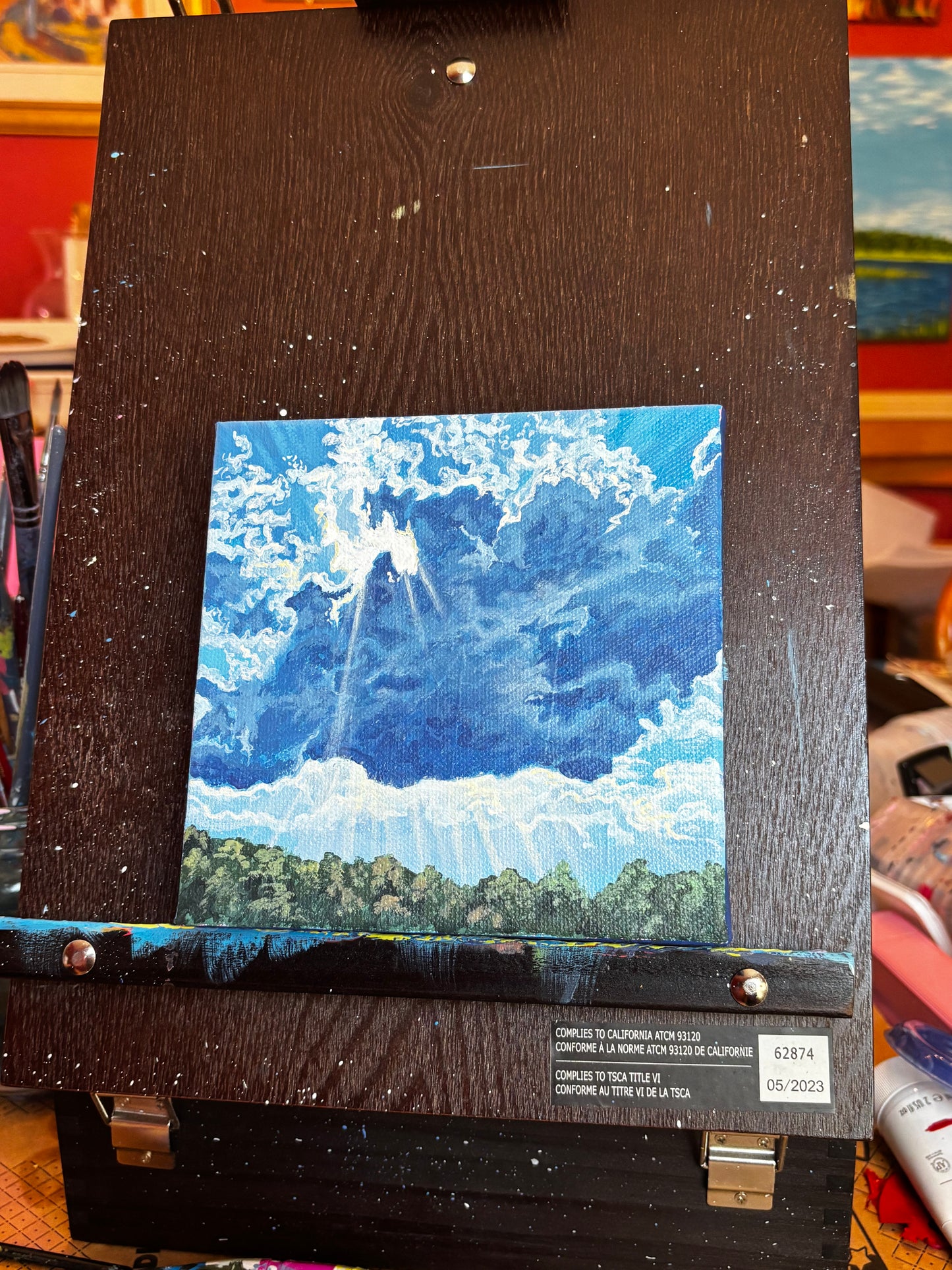 “Stray Storm Cloud” Original Acrylic Painting